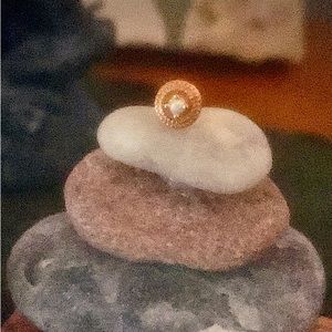 Junipurr 14k Rose Gold Round Double Millgrain